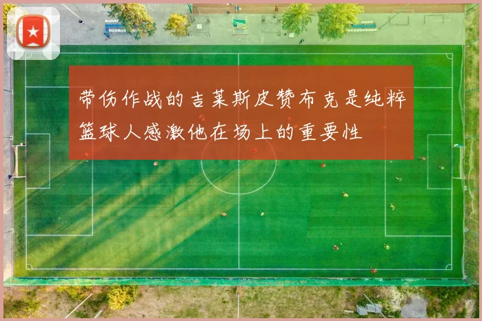 带伤作战的吉莱斯皮赞布克是纯粹篮球人感激他在场上的重要性