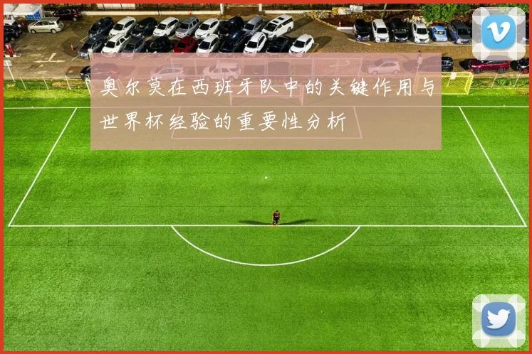 奥尔莫在西班牙队中的关键作用与世界杯经验的重要性分析